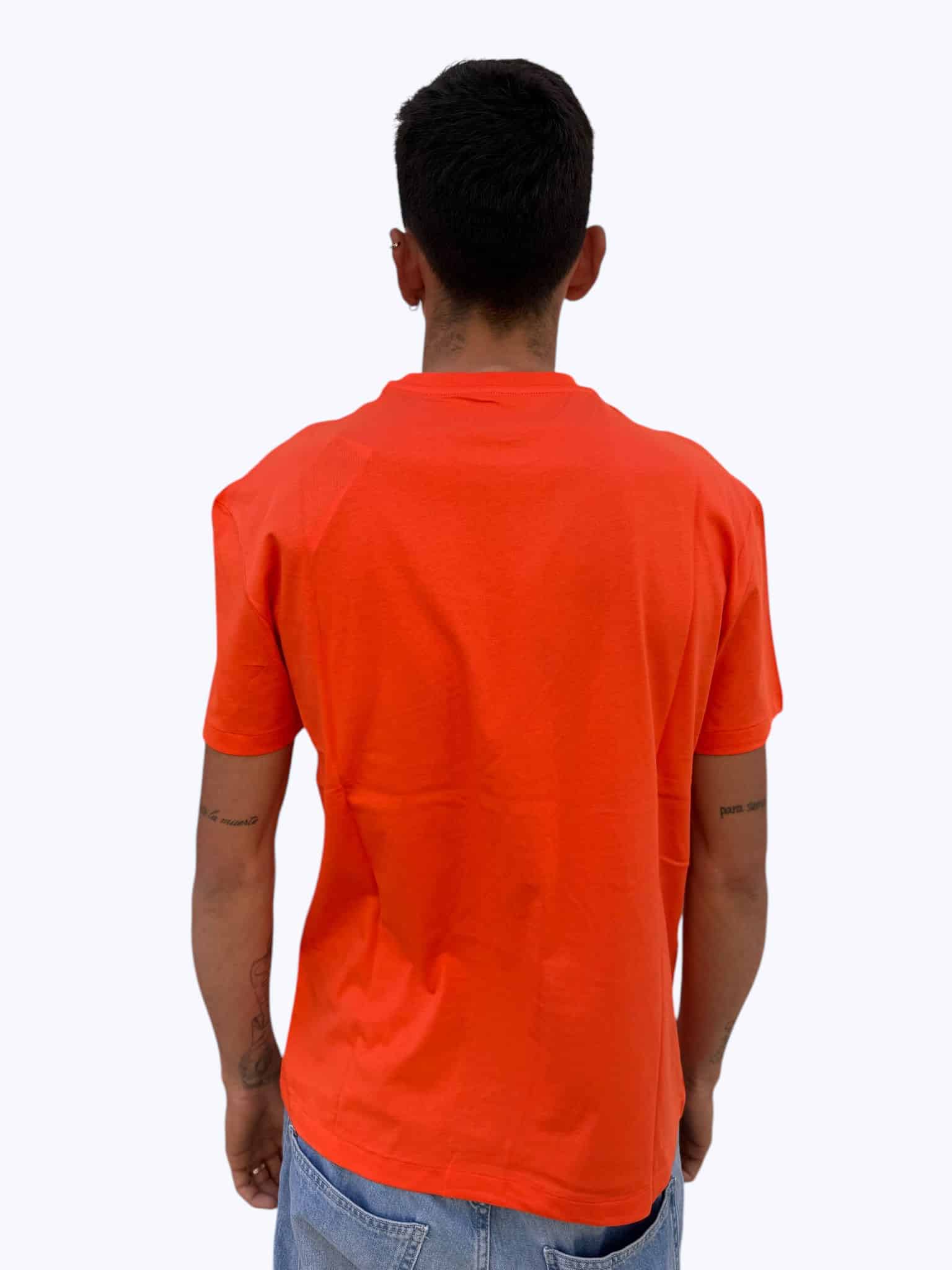 2450-2451-2452-2453-2454